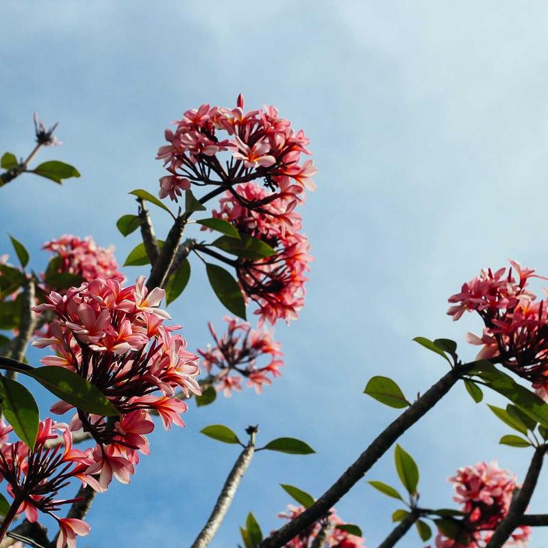 边塞诗风：高适、岑参与盛唐雄风